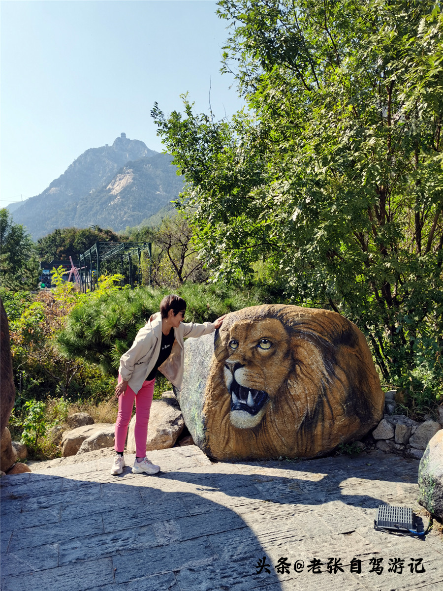 山东最低调5a旅游景区,山东旅游最值得去的十个景点排名