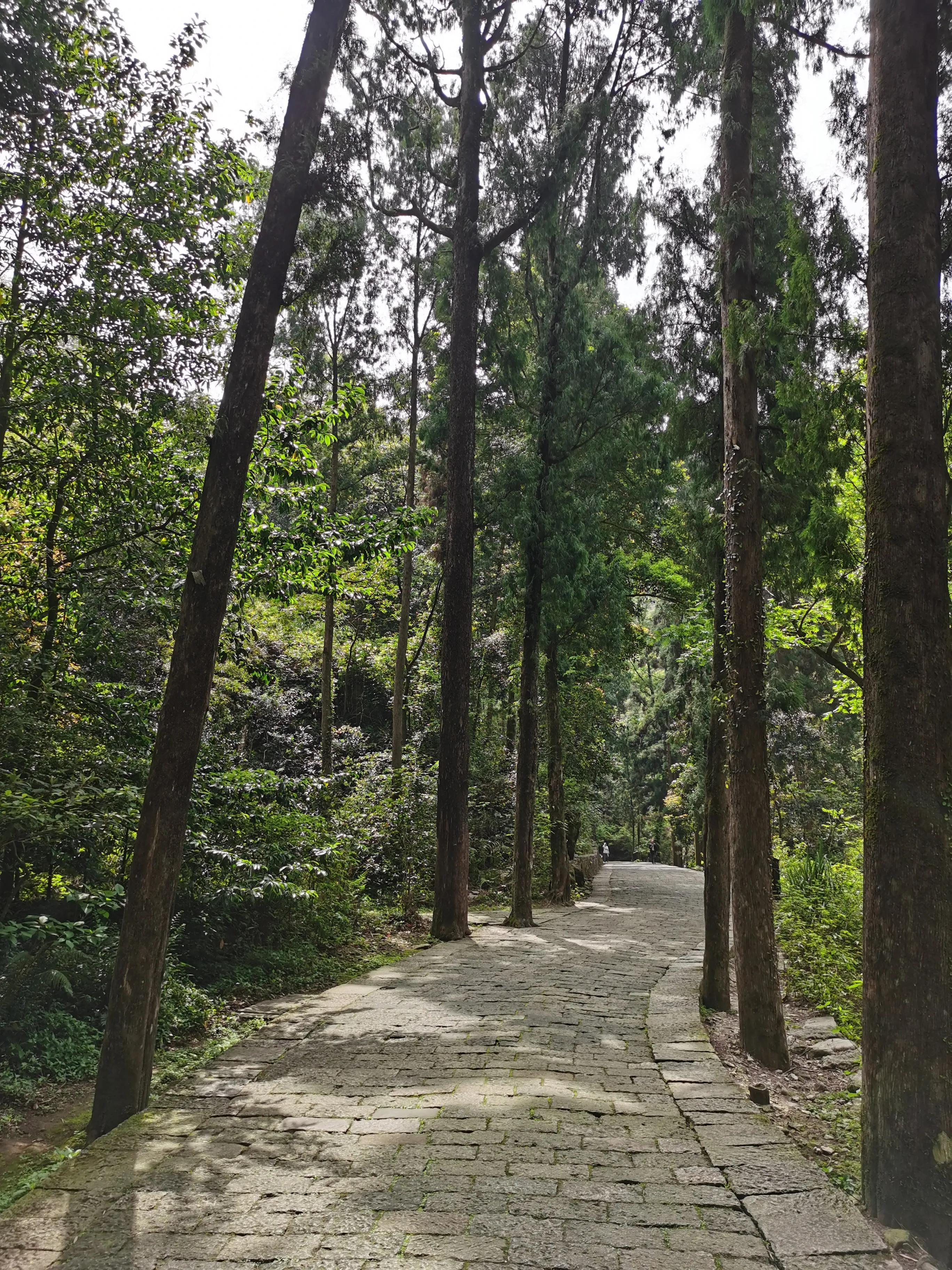 温州雁荡山天下奇秀,雁荡山两日游