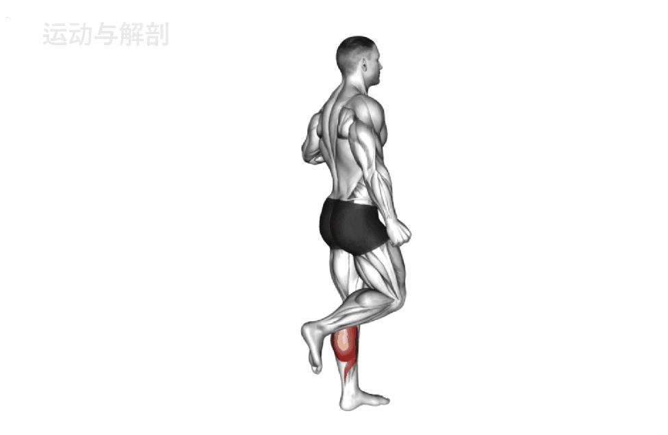 跑步之前热身视频,跑步前热身运动不伤膝盖