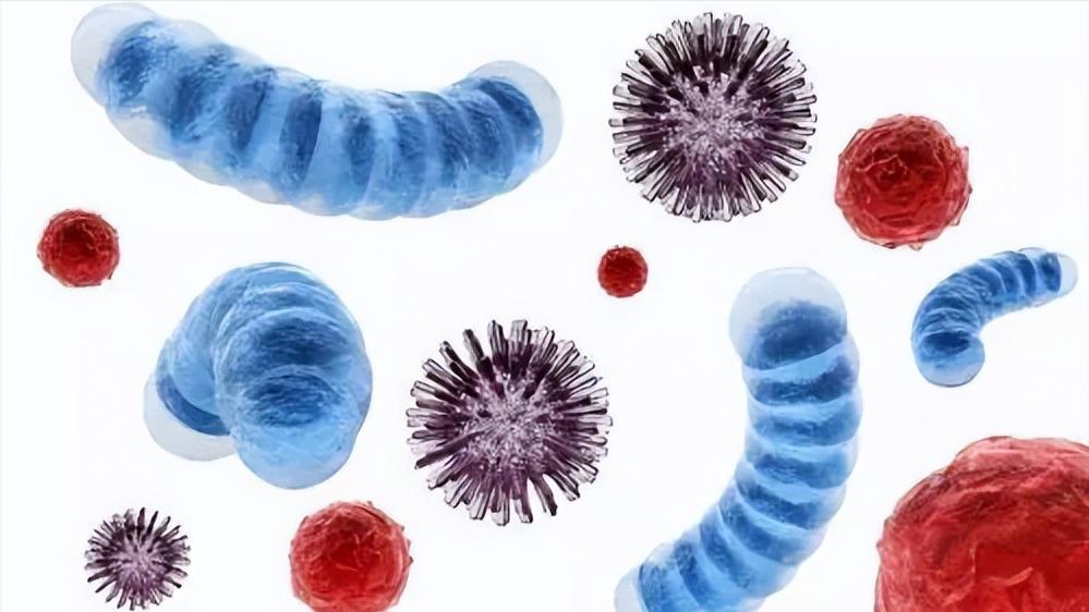 阴毛有啥用？刮掉行不行？医生：对待阴毛，这几点要认清，别害羞