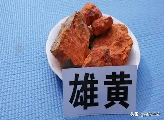 农村居家怎么用雄黄防蛇,夏季防蛇用这5种方法