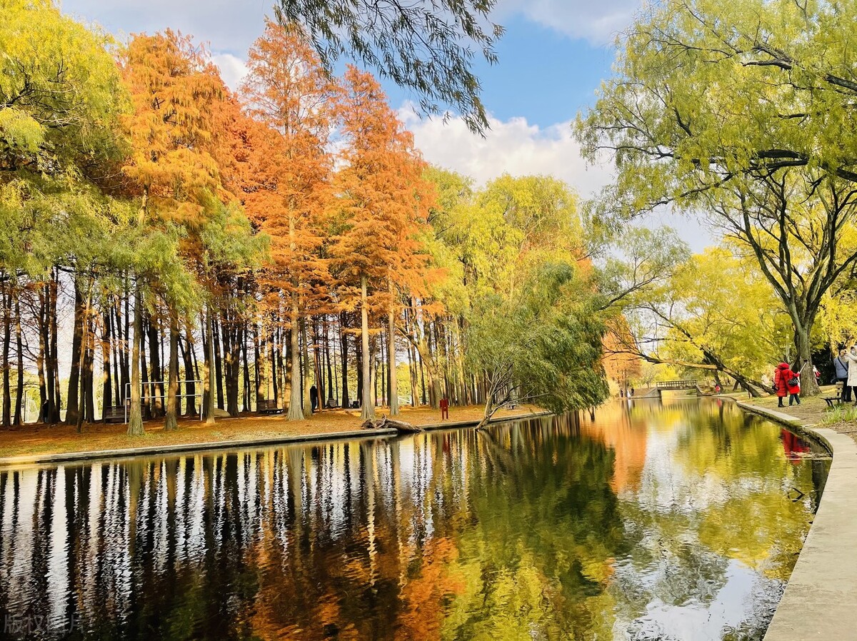 上海最新免费游玩景点推荐,上海旅游必去的五个免费景点