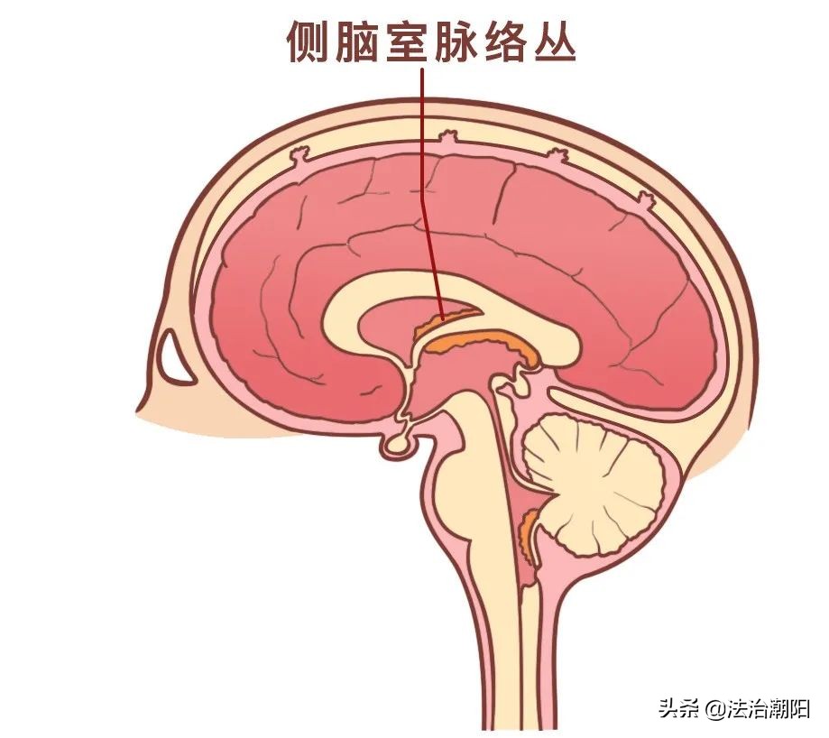 熬夜了脑袋昏沉,熬夜后脑袋胀疼怎么回事