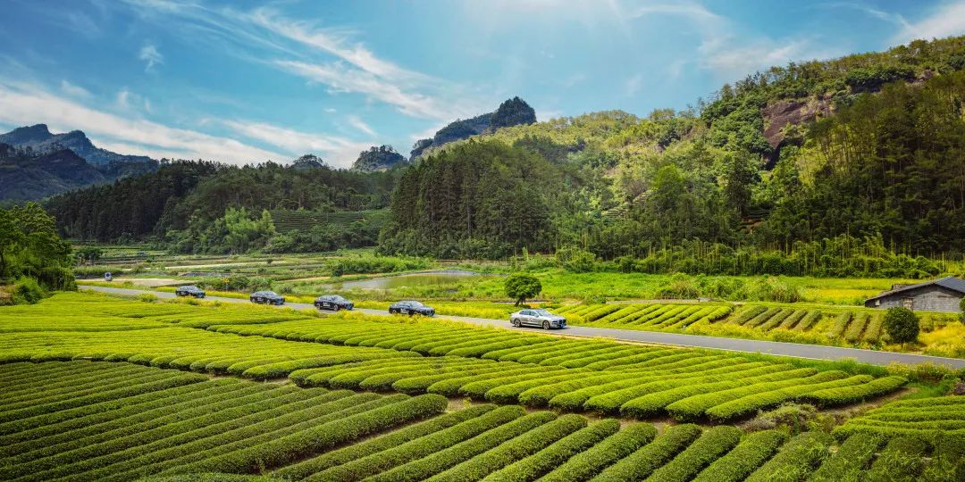 武夷山高尔夫球比赛,武夷山太伟高尔夫球会