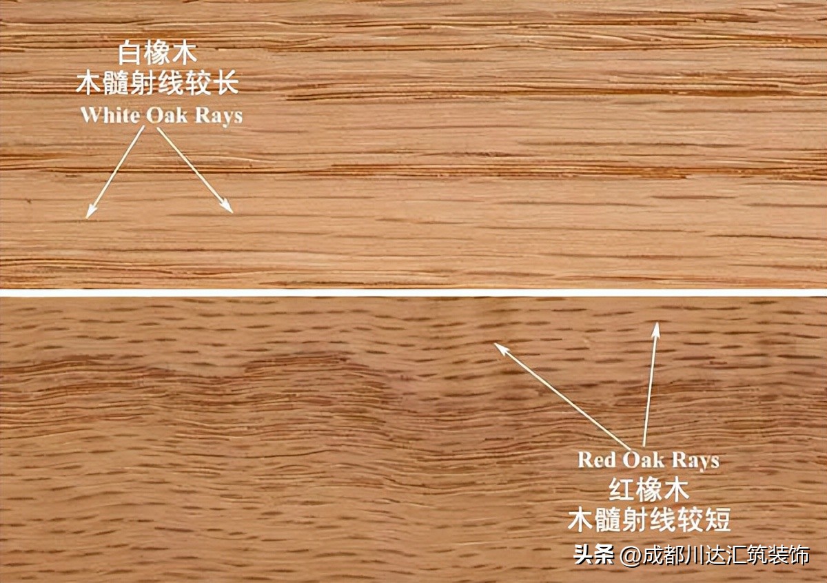 国内家具市场现状,橡木国内哪里产的家具比较好