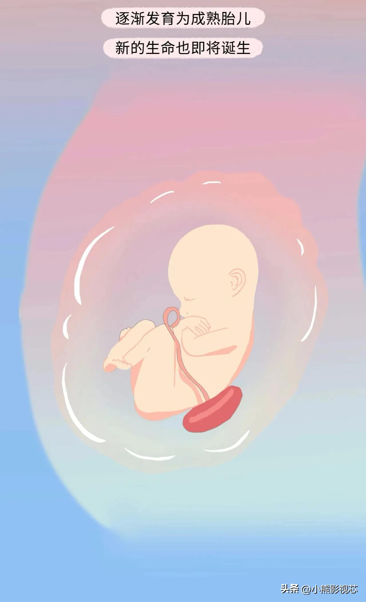 精子进入女生体内的全过程