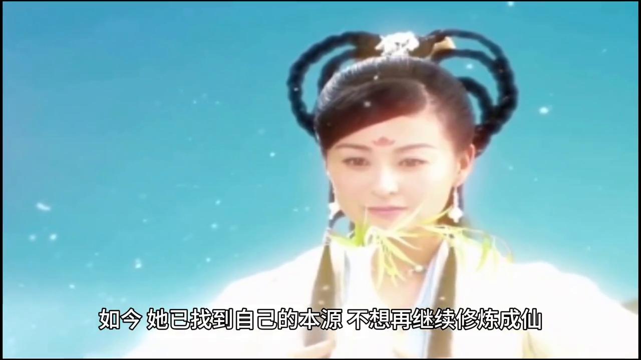 女子意外买到神奇的植物,女子意外发现神奇树