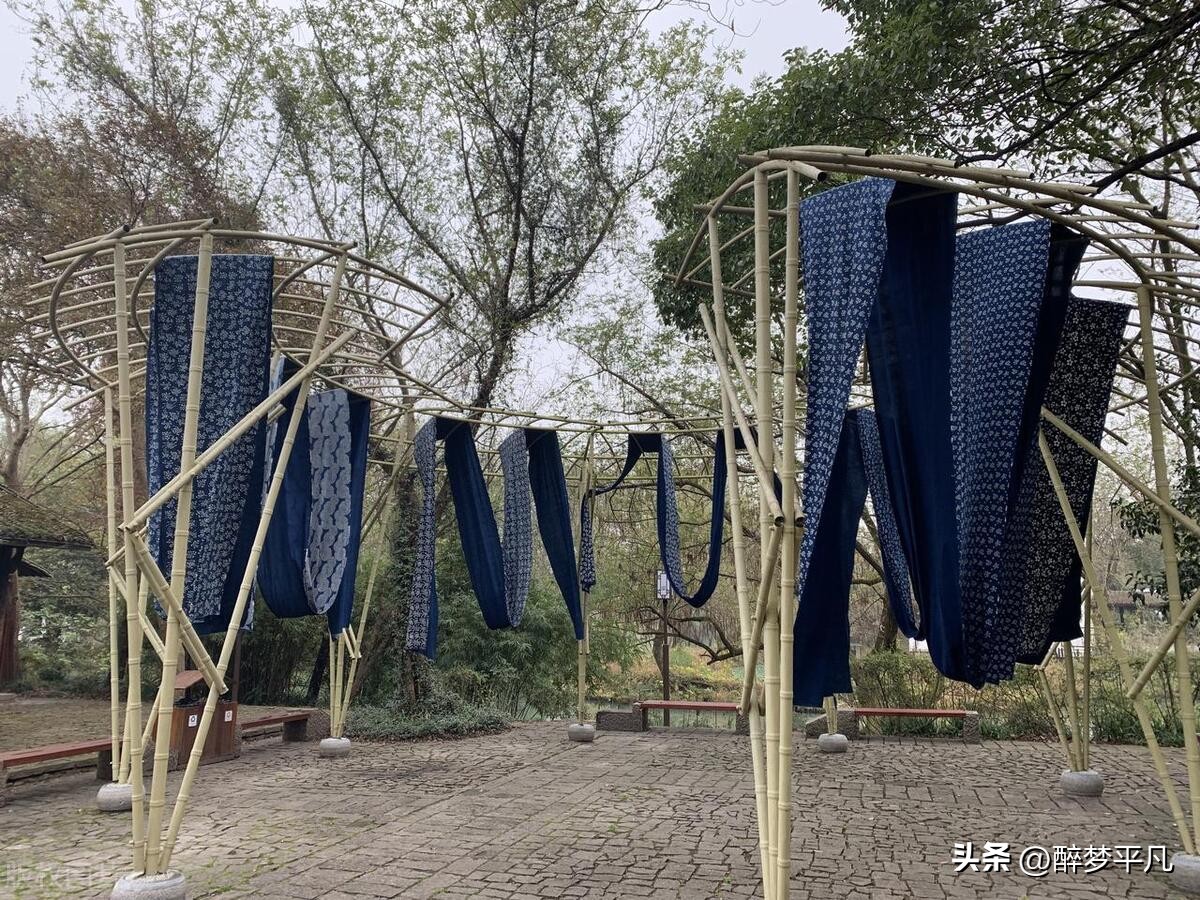 杭州西溪湿地为什么是5a,杭州国家西溪湿地