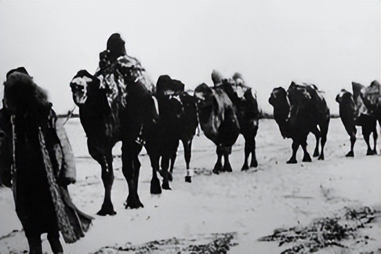 旅蒙商号大盛魁(十一)—大盛魁的营业状况(丁)皮毛药材(上)