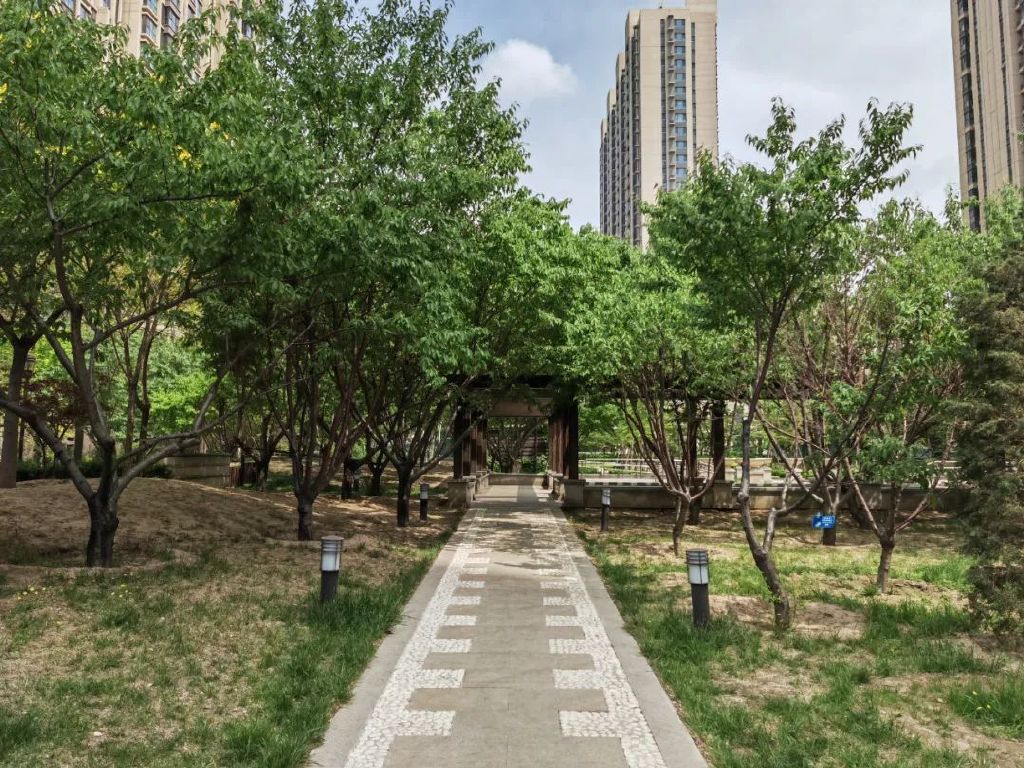 谁是影像机皇,谁才是手机机皇