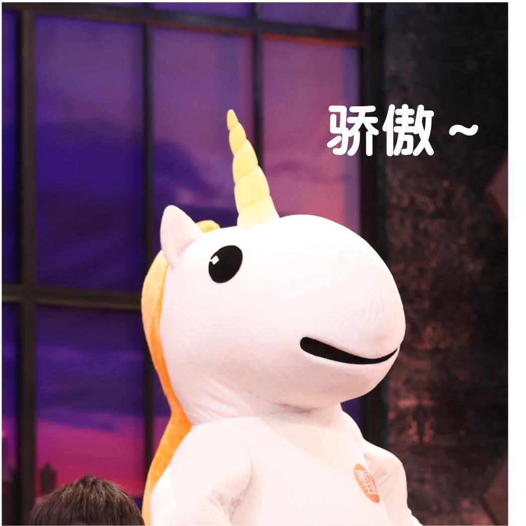 解锁深夜看球新体验！《欧雷欧雷陪看团》带来“快乐看球指南”