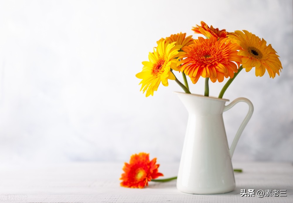 女作家去做保姆最新篇654,女作家去做保姆110集