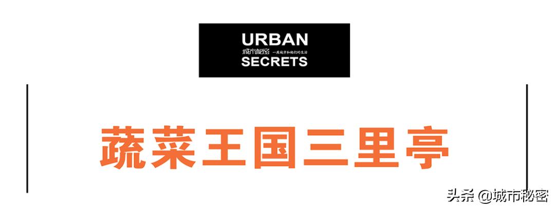 艮山门在拱宸桥北面,杭州艮山门水果市场简介
