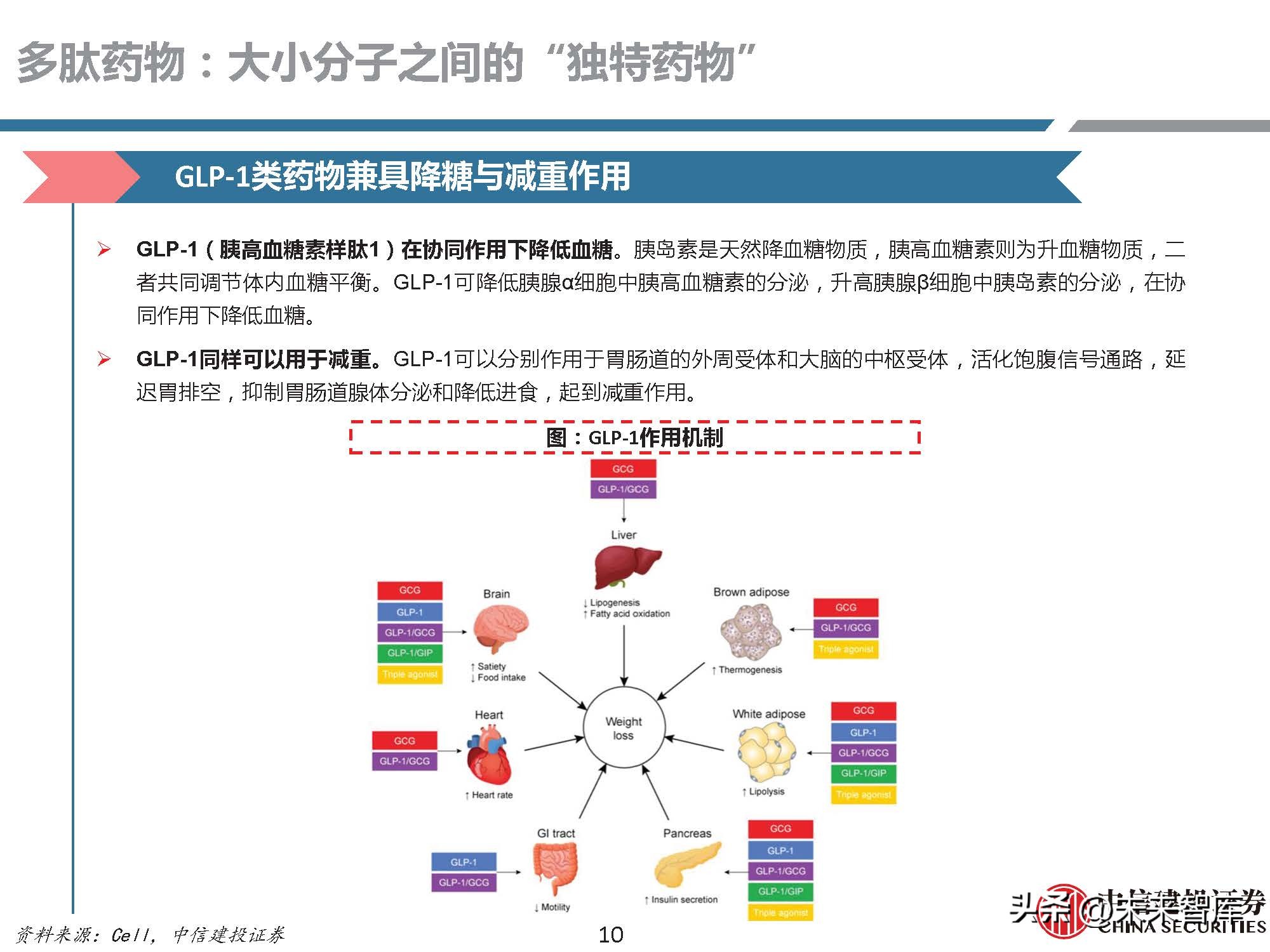 多肽药物前景,医药行业研究