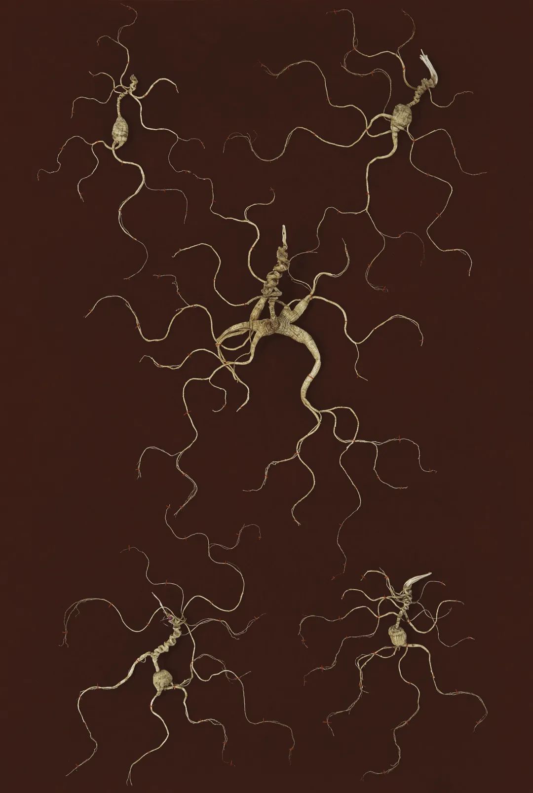吃好喝好才有免疫力上海匡时秋拍养生食粹拍品助力藏家抗疫