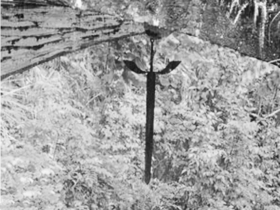 民间故事老龟讲述,民间故事千年老龟