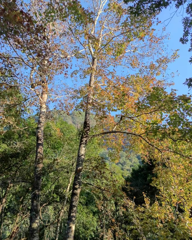 广东温泉宾馆温泉介绍,广东温泉酒店的温泉哪几家是真的