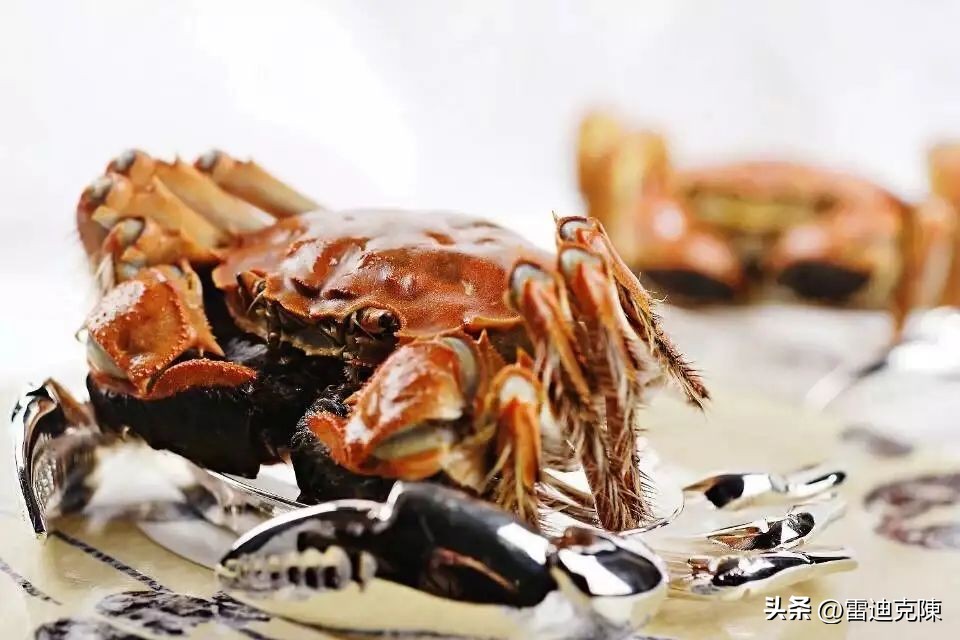 鱼子酱大闸蟹,大闸蟹上海自助