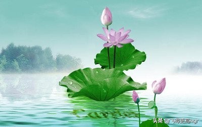 六年级第四周周记,六年级暑假周记400字