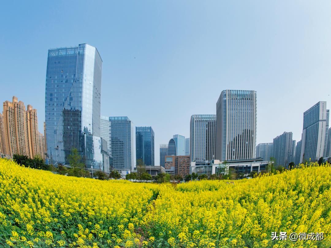 天府12345街道,天府12345街是哪几条街