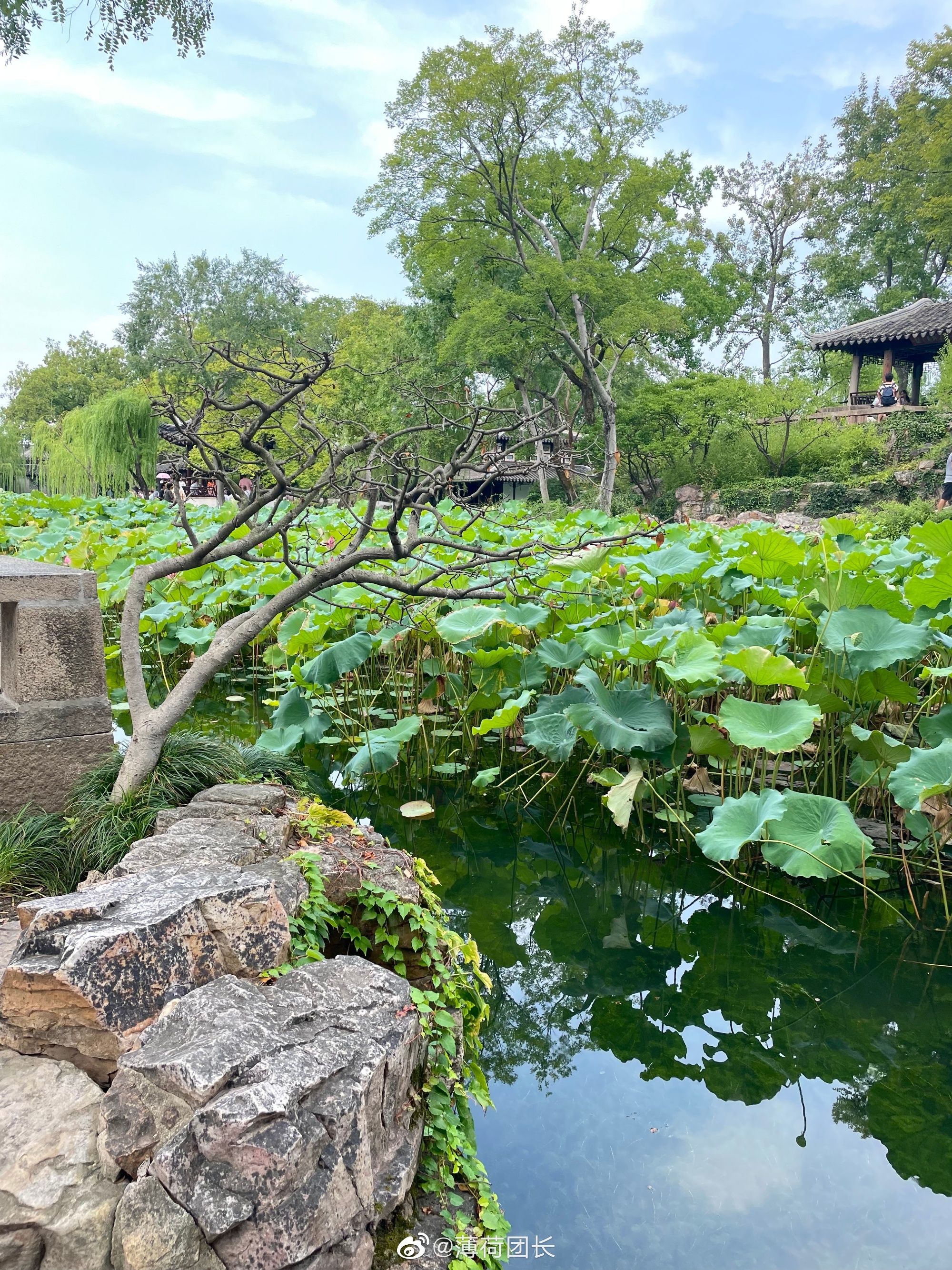 苏州园林之首拙政园一日游,苏州拙政园一日游