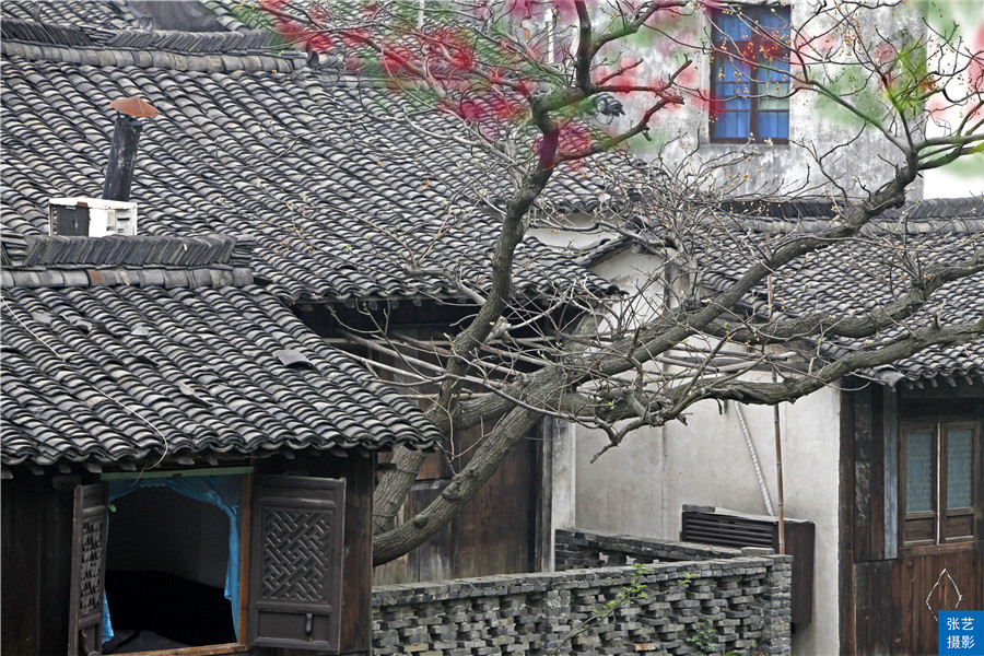 江南乌镇文化简介,中国江南十大名镇最新排名乌镇