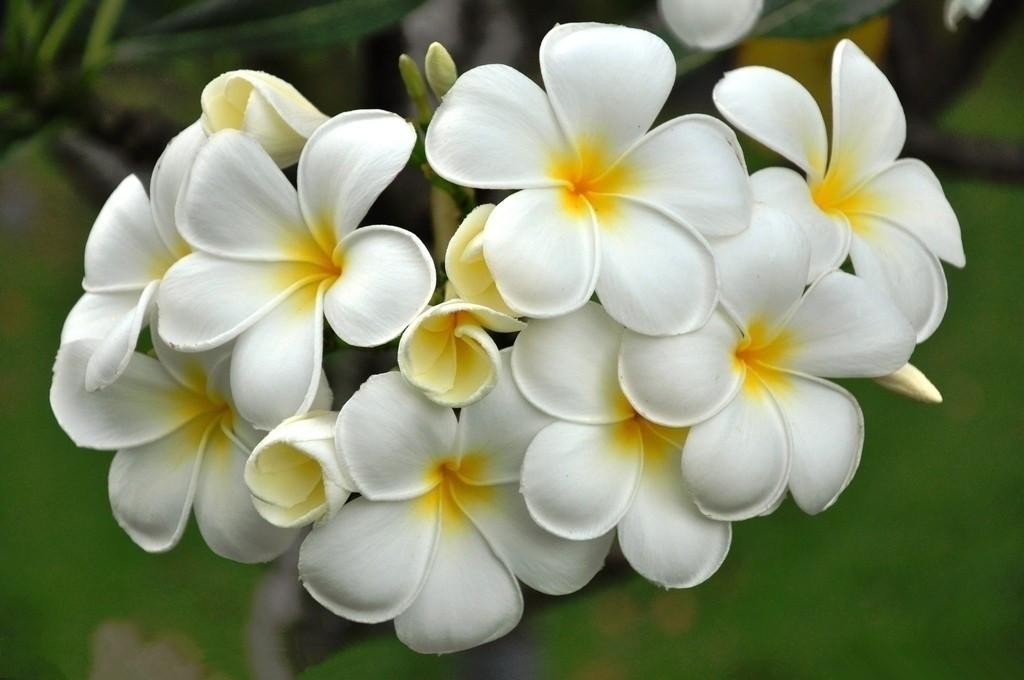 一个女人喜欢你一定要知道这些,想要一个女人持续的喜欢你