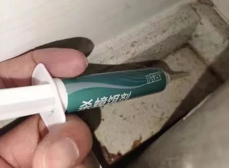 灭蟑螂的方法用什么药最好,消灭蟑螂的药剂