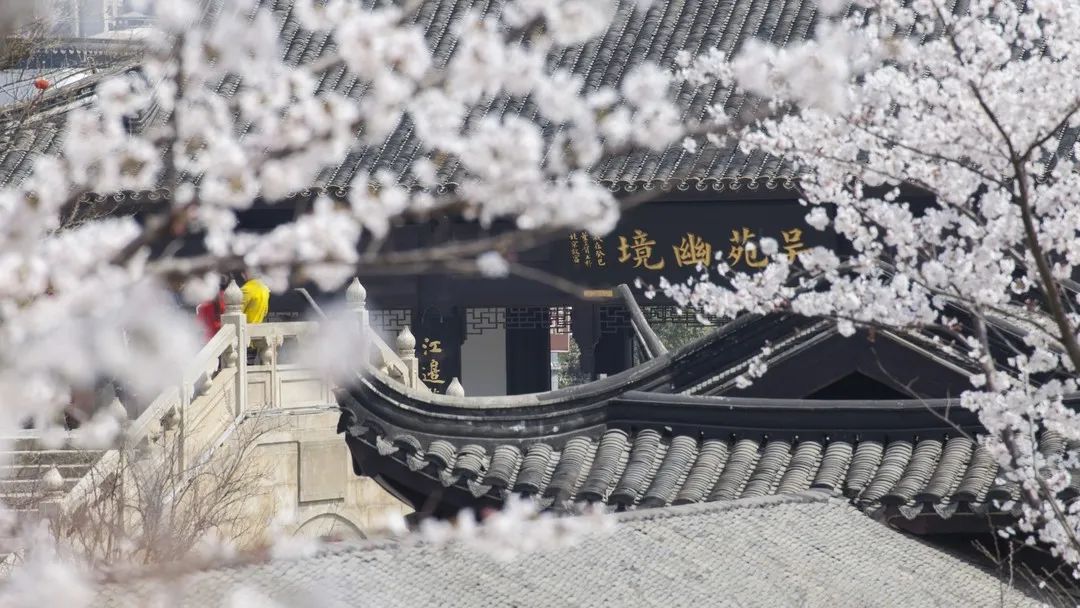 今日开通高铁,快上车流程