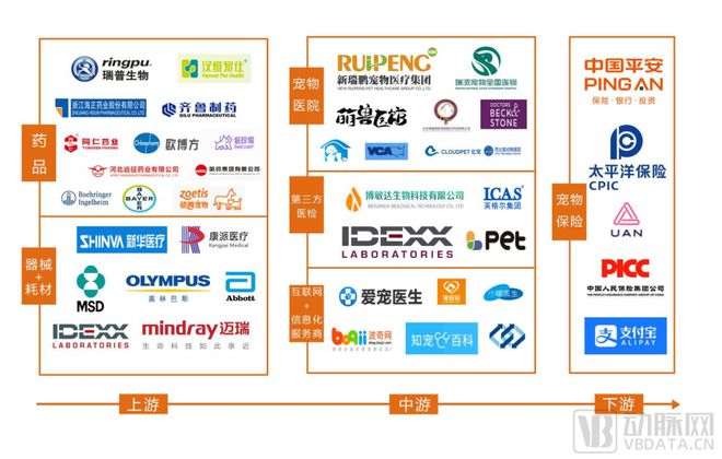 爆火的宠物医疗，没想象中那么好做