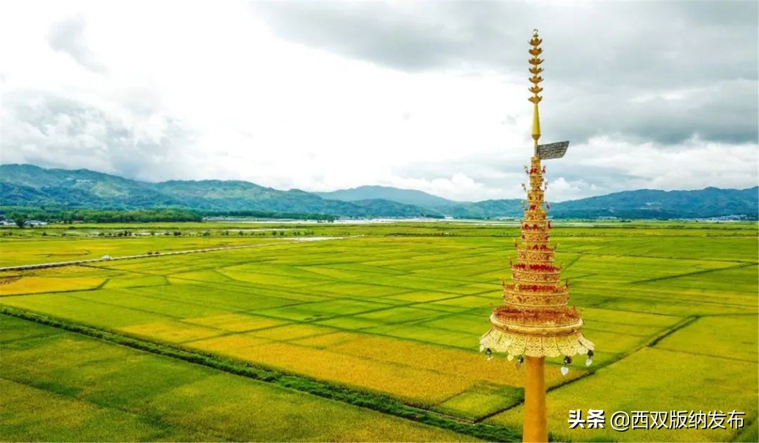 西双版纳天气预报2018年12月30号,西双版纳天气预报中央气象台