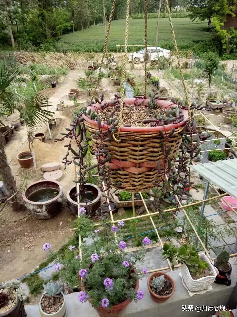 商丘农庄招商,商丘市快乐农庄