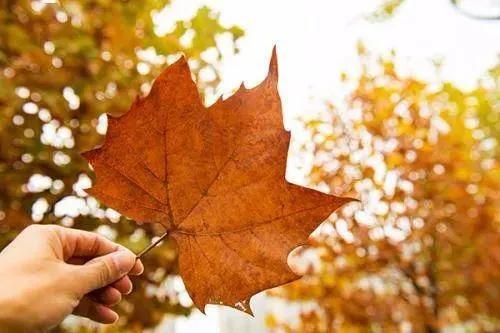 人生无常世事难料且行且珍惜诗句,人生无常世事难料且行且珍惜名言