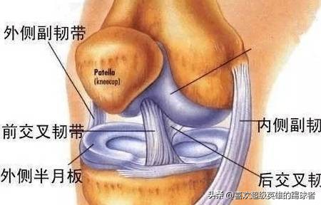 膝盖中间的小软骨，是改变球员职业生涯的噩梦