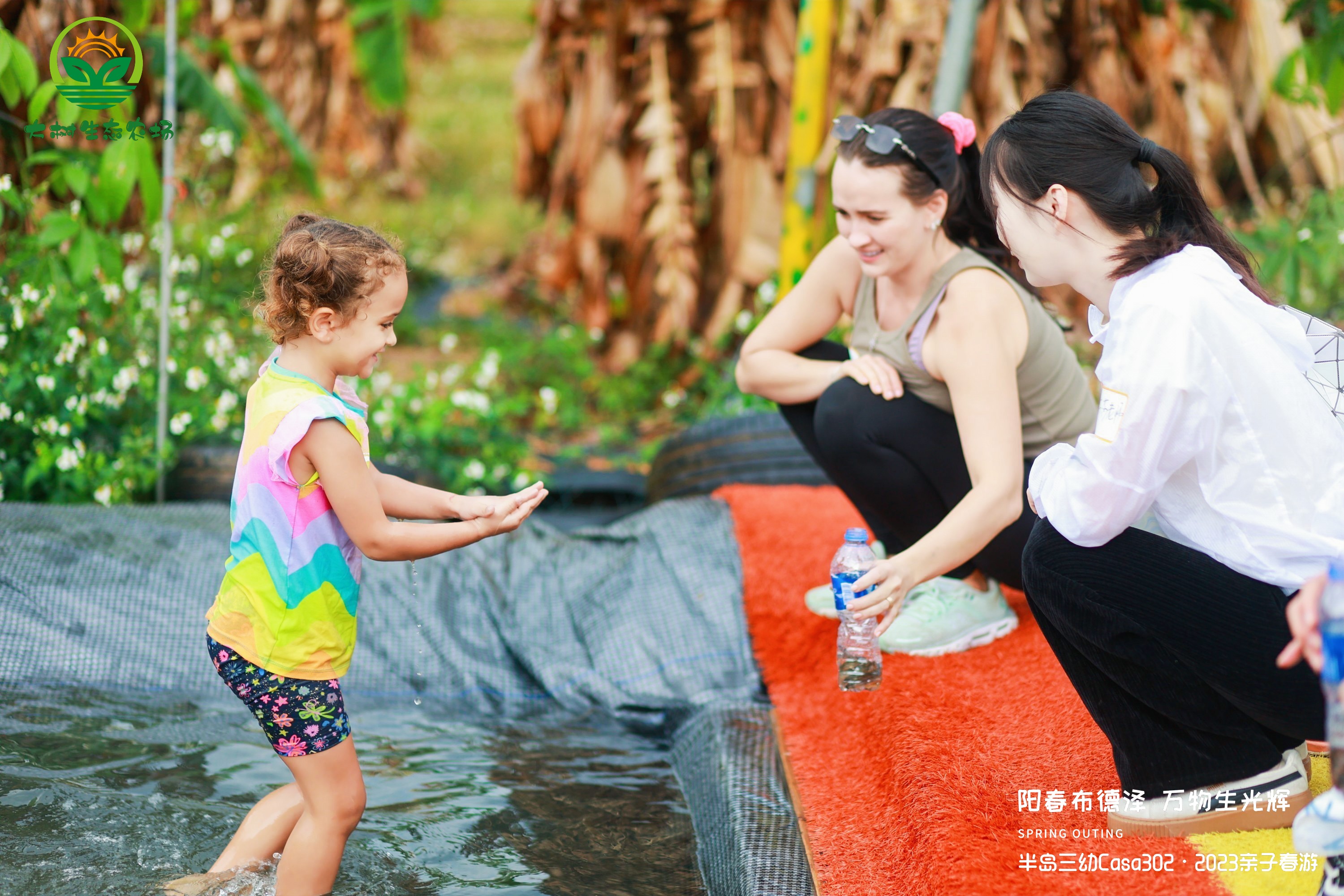 深圳最好的小猪农场,深圳农场适合亲子游的地方