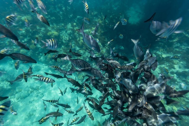 百慕大三角原传闻,百慕大三角之谜是虚构的吗