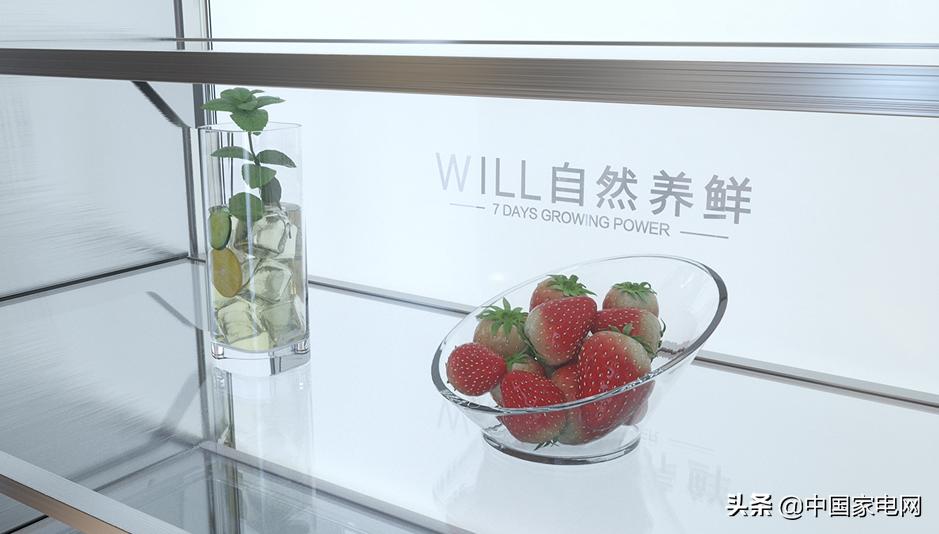 好看颜值高的冰箱,洋气美观冰箱