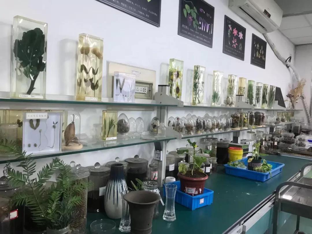 科技体验研学,科技研学课