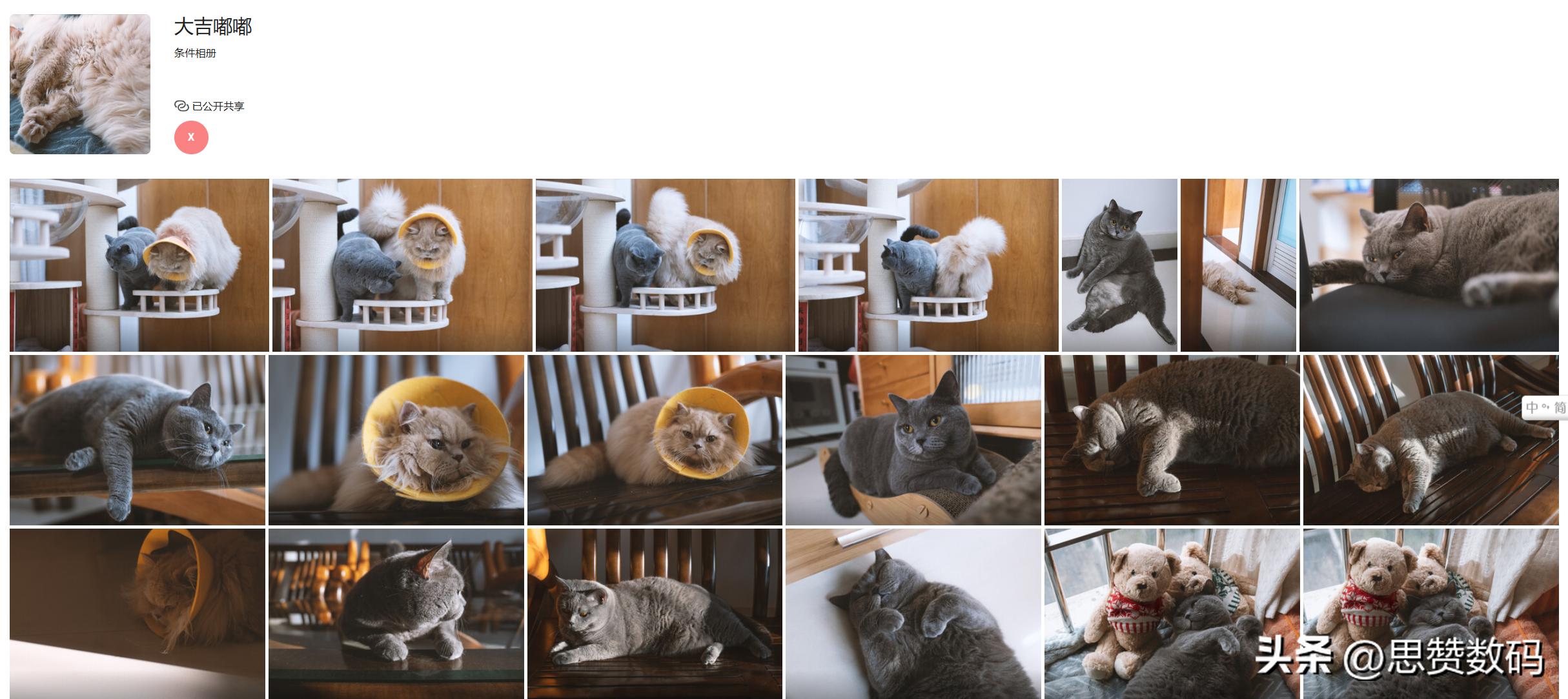 Windows11下黑群晖实现微单自动导入照片视频，省个读卡器和NAS钱