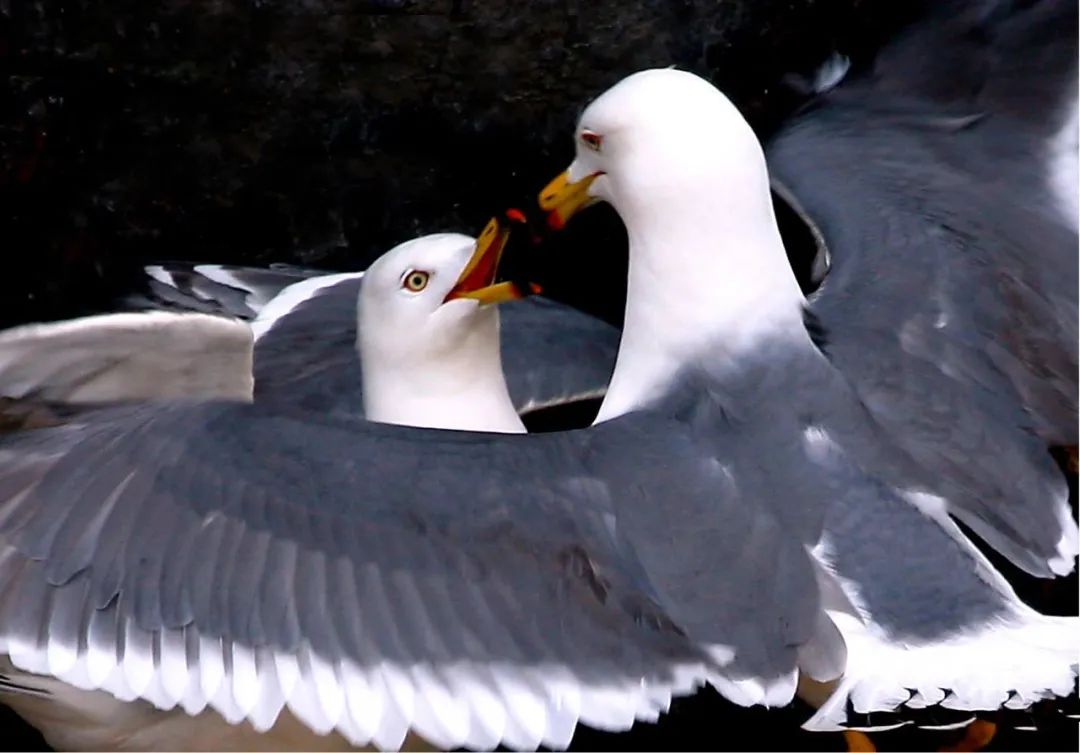 威海2天怎么玩,2日1晚威海旅游攻略