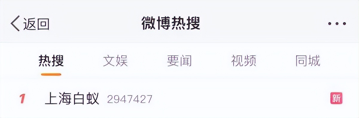 上海白蚁最新通报,最新上海遇白蚁事件