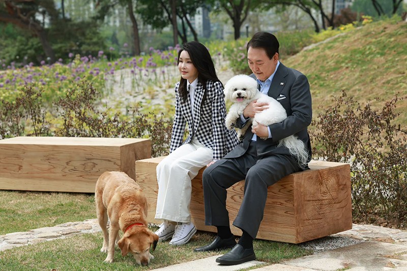 韩国第一夫人穿夏裙,现在流行的韩国第一夫人的穿搭