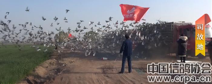 2023洲际赛决赛视频,洲际杯总决赛