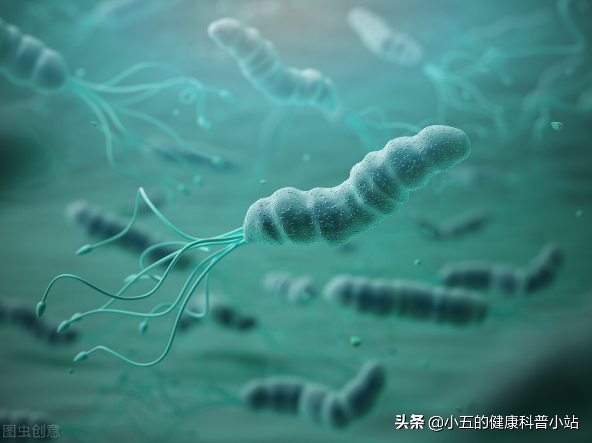 萎缩性胃炎吃什么药预防胃癌,萎缩性胃炎预防癌变方法