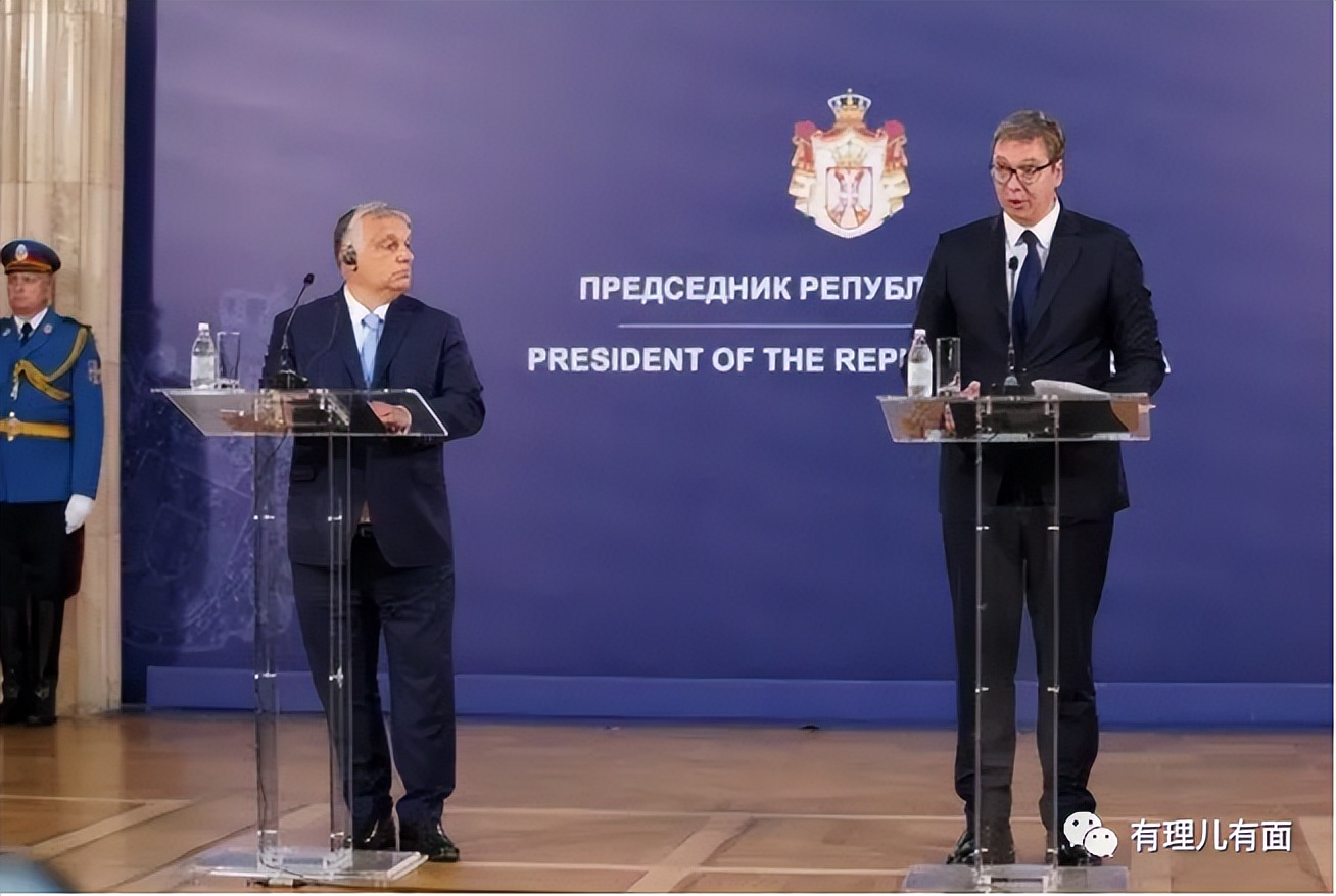 匈牙利国鸟大鸨鸟,匈牙利作为欧盟中的特立独行者