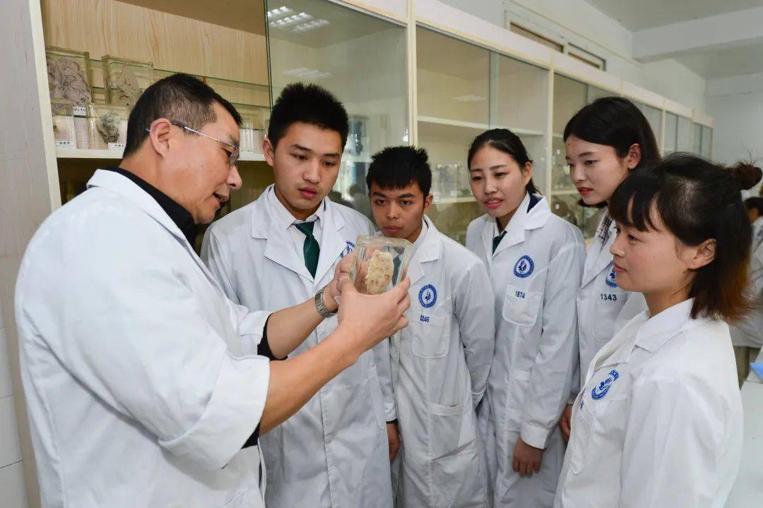 昆明医科大学附属口腔医院价目表,昆明医科大学附属口腔医院第二门诊部