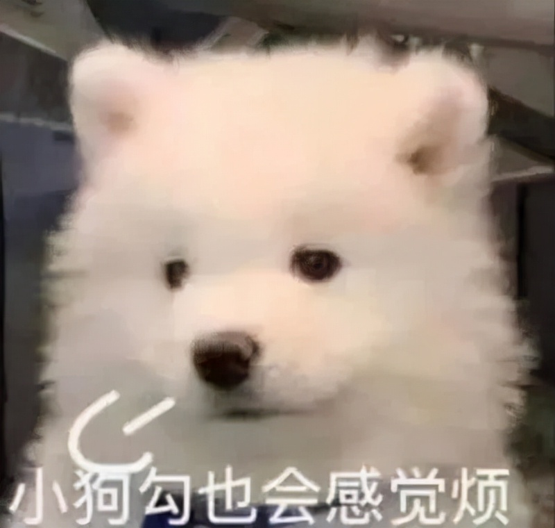 鑵归粦濮愬閬囦笂鑵归粦鐢蜂富,鑵归粦濮愬