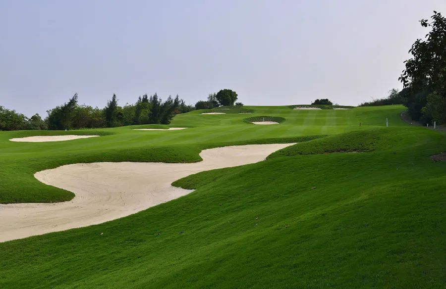 沙漠型球场有哪些,国内沙漠球场高尔夫