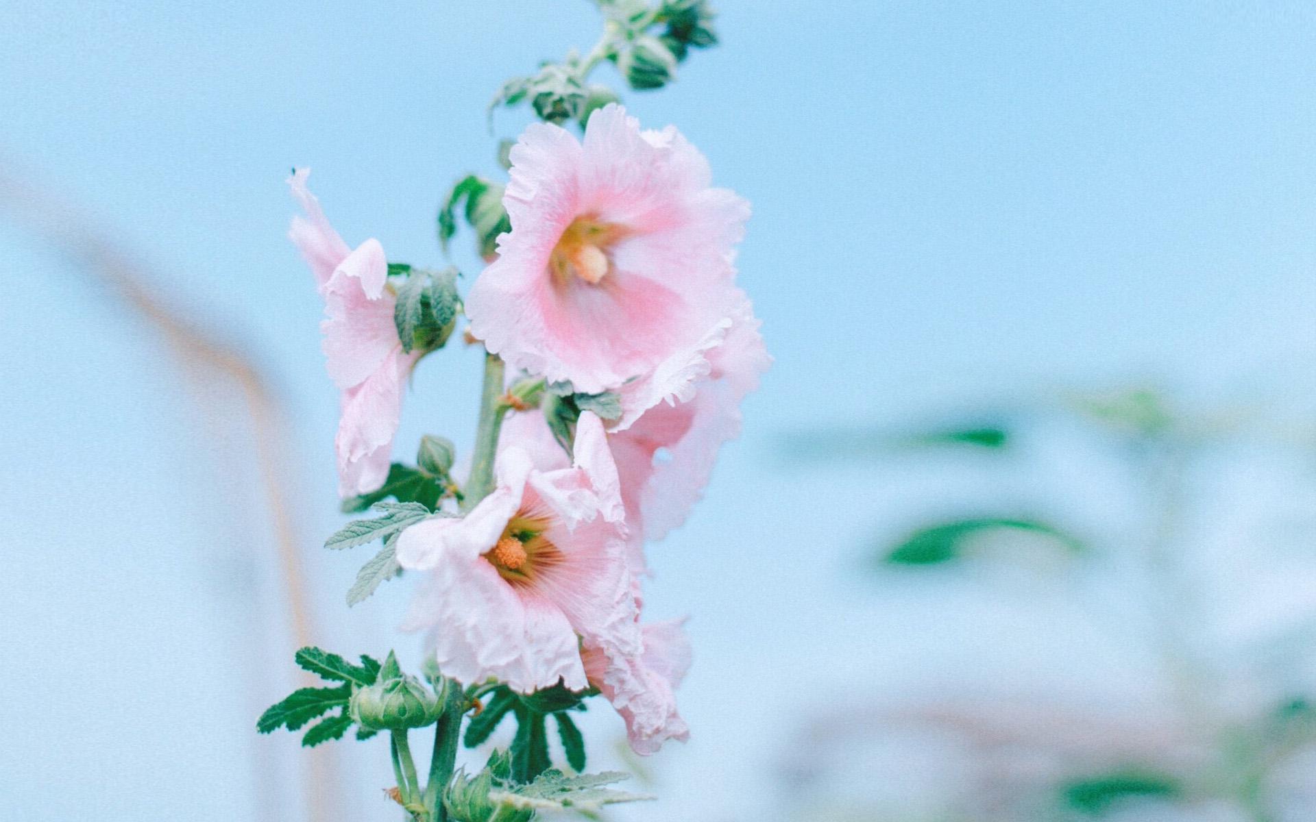 女生如果暗恋你会说什么话,女人暗恋你她会对你说六句话