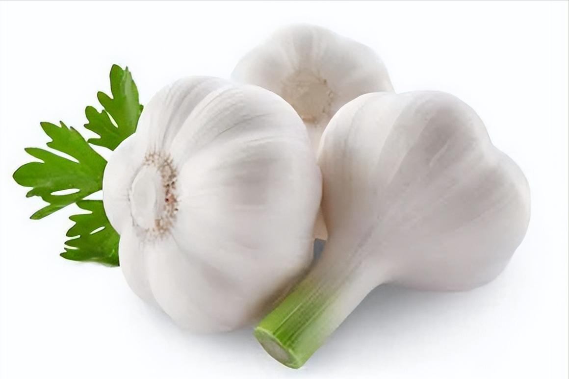 驱蚊小妙招远离蚊子困扰,家里有蚊子怎么驱蚊最好